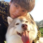 ジャーマン君の声優は下野紘さん!?犬種はハスキーで年齢は?【笑ってコラえて】