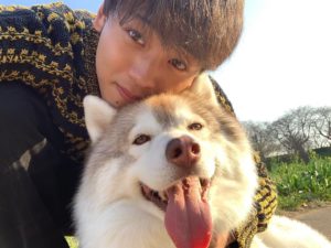 ジャーマン君の声優は下野紘さん!?犬種はハスキーで年齢は?【笑ってコラえて】