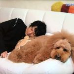 中村倫也が動物愛好家で詳しい理由は?実家の母親が影響している!?