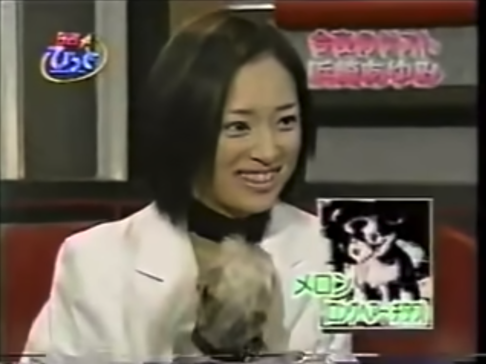 浜崎あゆみの愛犬の名前や犬種は 何匹飼ってる 過去のワンちゃんも紹介