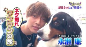 ボナくんの声優は花江夏樹！？ボナくんの犬種・年齢は？【笑ってコラえて】